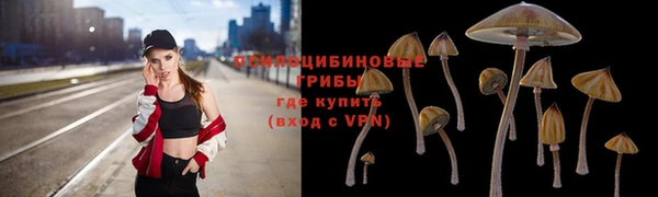 PSILOCYBIN Алексин