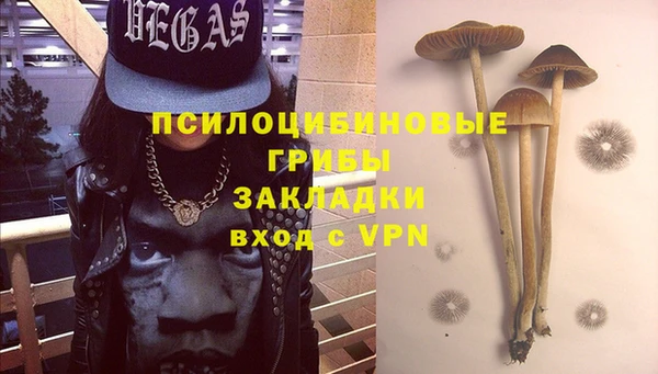 PSILOCYBIN Алексин