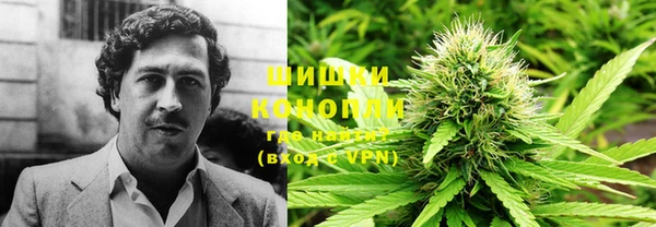 PSILOCYBIN Алексин