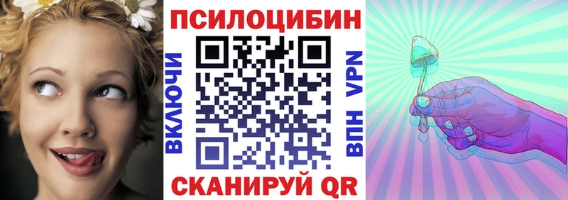 где продают наркотики  Нелидово  KRAKEN ТОР  Псилоцибиновые грибы Psilocybe 