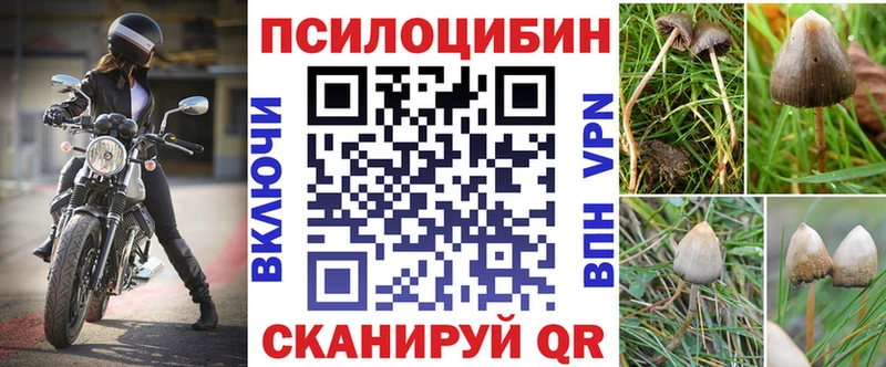 Псилоцибиновые грибы ЛСД Нелидово