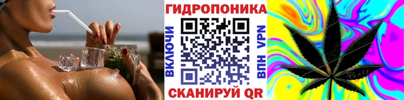 МАРИХУАНА семена  Нелидово 